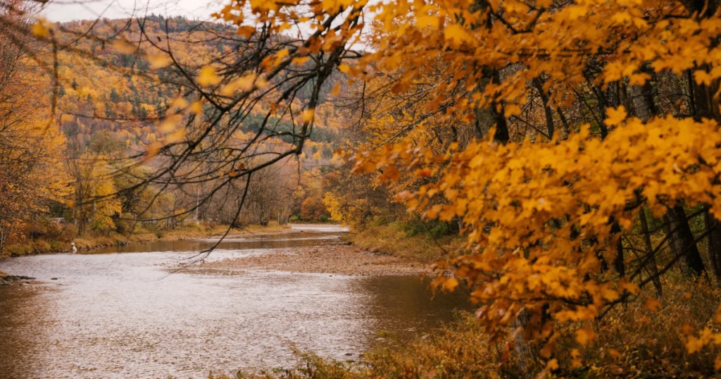 Best Places to Relax in